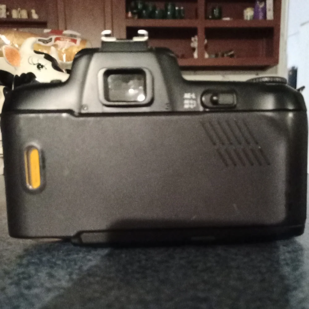 NIKON N6006